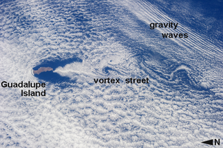 Illustration for article titled Vortices Trailing Guadalupe